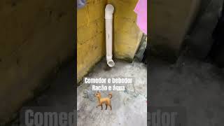 Comedor e bebedor pra cachorro