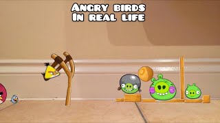 Angry birds in real life