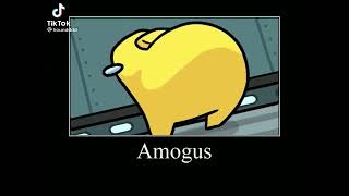 AMOOGUS