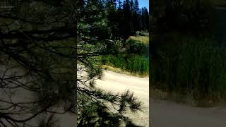 Mendocino National Forest scenery with Black Butte