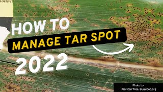 How to Manage Tar Spot