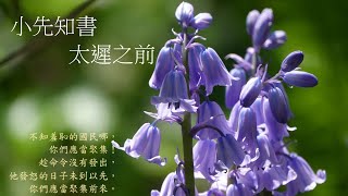 靈修:小先知書-太遲之前 20240919