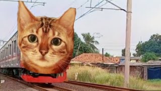 WAAAH !!! Ada Aja Nih Kereta Pala Kucing 😆😆😊🤦