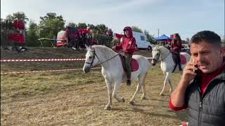 Expoziție de cai Săsar,Maramures#19.09.2020 partea 1