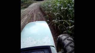 Chopping corn 2015 pt2