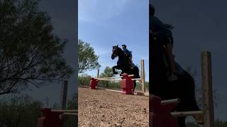 #horse #horsesport #equestrianjumping #equestrian #equine #barrelracing