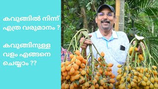 കവുങ്ങു കൃഷി വള പ്രയോഗവും വർഷം ലാഭവും #chunkapuranursery