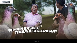 GREBEK KANDANG MERPATI GOLF BOGOR RAYA