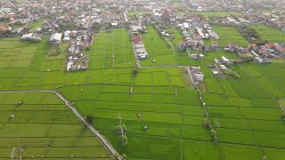 Sanur Sawah