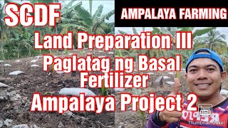 Ampalaya/Bittergourd Farming || Land Preparation III