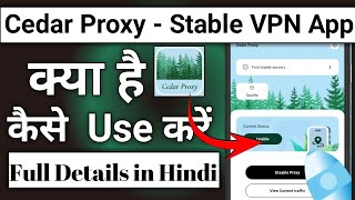 Cedar Proxy App Kaise Use Kare || How To Use Cedar Proxy App