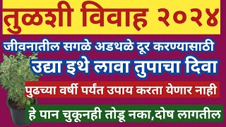 #तुळशीविवाह२०२४ जीवनातील सर्व अडथळे दूर करण्यासाठी इथे लावा तुपाचा दिवा ही पाने चुकूनही तोडू नका