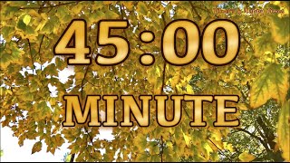 🍁45 Minute AUTUMN 🍁Timer/Countdown