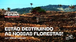 Estão destruindo as nossas florestas! | Cantos do Sabiá