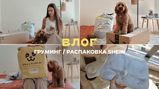 Влог | Распаковка Shein. Как мне испортили собаку в американском груминге.