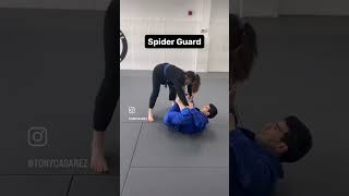 Top 10 BJJ Guards Every Beginner Should Know #jiujitsu #martialarts #mma