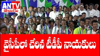 వైసీపీలో చేరిన టీడీపీ నాయకులు ||Antv||Podalakuru|| Kakani Goverdhan Reddy||