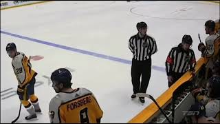 NHL investigating referee for call against Nashville