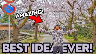 How to plan a cherry blossom day trip in Japan! 🇯🇵| Living in Japan