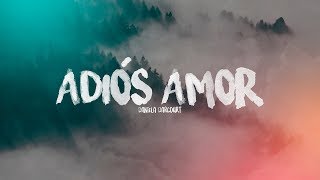 Marimba Orquesta La Gran Manzana / Adiós Amor (versión cumbia) 2019