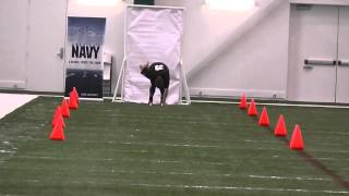 N.Y. Jets Training Facility: 40 Yd Dash