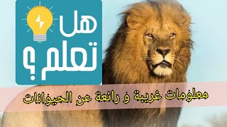 معلومات غريبة ورائعة عن الحيوانات