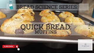 Easy Chocolate Chip Muffin Recipe