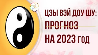 ЦЗЫ ВЭЙ ДОУ ШУ 2023: Прогноз по Цзы Вэй Доу Шу на 2023