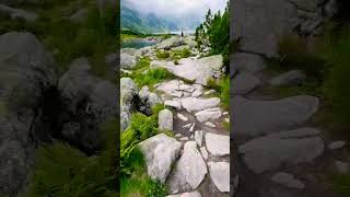 dolina 5 stawów | Tatra mountains#tatry #mountains #гори #подорожі #похід #trekking #природа#nature