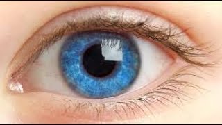 Is Human eye better than a Digital Camera | Documentry | Reaserch