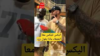 شاهد لقطة تليس معا البغبغا هههههه #shorts