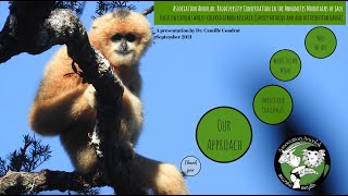 Association Anoulak presentation for two gibbon online events