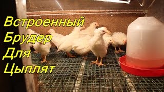 Встроенный брудер для цыплят