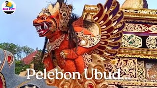 UPDATE TERKINI MENJELANG PELEBON PURI UBUD BALI 10 JUNI NANTI..