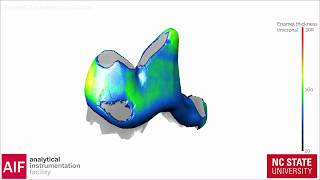 X-ray Tomography of a Dog's Tooth