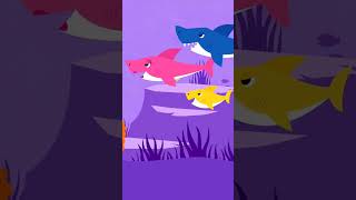 Baby Shark Video #baby #shark #babyshark #kids @Pinkfong