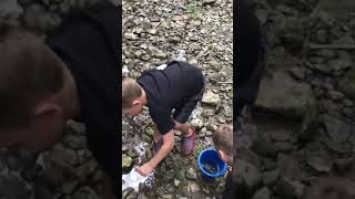 Releasing the Crayfish!