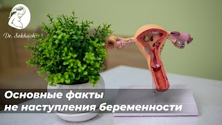 Основные факты не наступления беременности