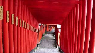 japanese shrine | Tsuwano, Shimane | 2022.10.08