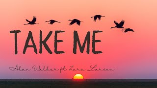 🎧 Alan Walker ft. Zara Larsson - Take Me (New Song 2017) 🚀✨ [No Copyright] #AlanWalker #NoCopyright