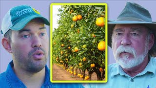 How To BREAK The Rules Of Orchard Culture | Tom Spellman