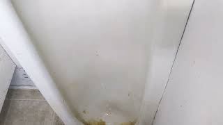 (EPIC RARE) Vintage unknown urinal (name brand & model plz?)