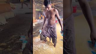 Murmura factory me kis process se banta hai #shortvideo #factory