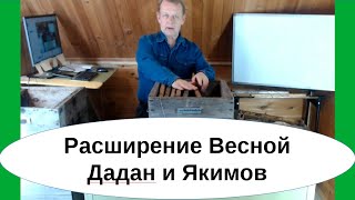 Метод пчеловодства по расширению семьи в апреле - улей Дадан и Якимова. Какой улей начинающему