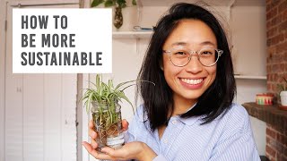 HOW TO BE MORE SUSTAINABLE IN 2020