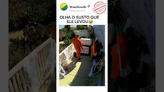 ELE NÃO ESPERAVA QUE ISSO IA ACONTECER🤣🤣🤣 #memes #funny #shorts #video