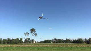 A flight with Align T-Rex 700 Dominator - Luca Pescante