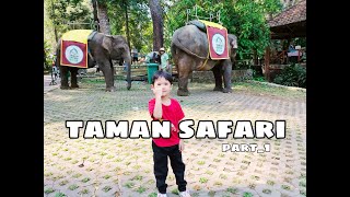 TAMAN SAFARI BOGOR terbaru!!! kasih makan hewan, semakin keren & seru 😍| PART 1