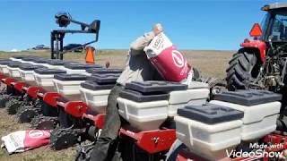 Planting Central Iowa 2019. Massey Ferguson White planter