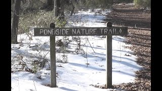 Killens Pond hiking series offers chance to get some winter outoor activity